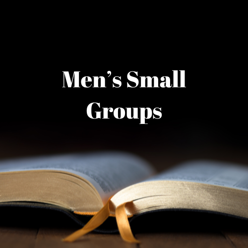 Men's Small Groups